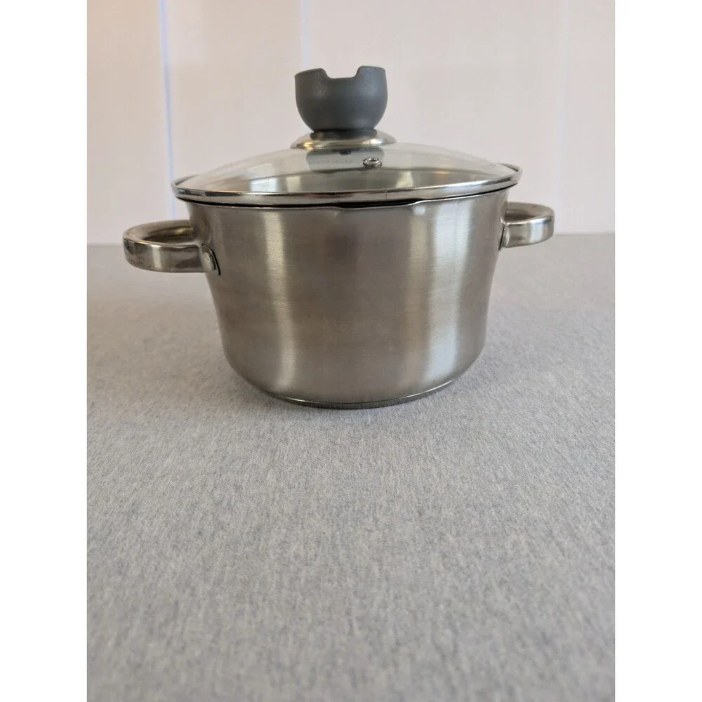 David Burke Gourmet Pro Stainless Steel Stockpot 3.3 Qt Glass Lid Double Handle